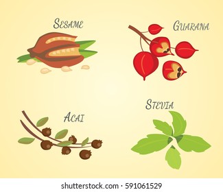 Set of Vector cartoon superfoods. Illustration for your design.