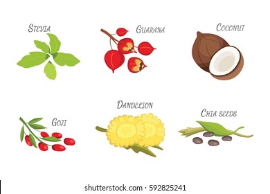 Set of Vector cartoon superfoods. Illustration for your design.