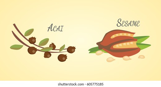 Set of Vector cartoon superfoods. Illustration for your design.