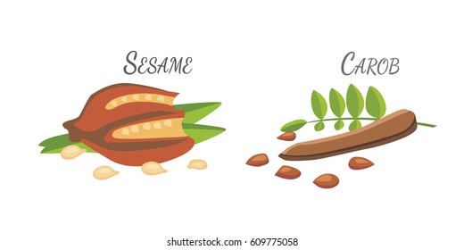 Set of Vector cartoon superfoods. Illustration for your design.