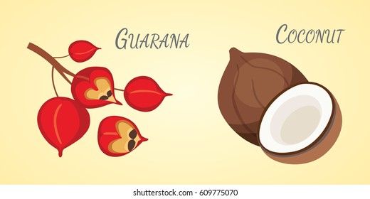 Set of Vector cartoon superfoods. Illustration for your design.