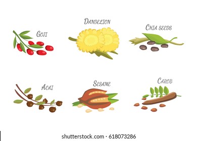 Set of Vector cartoon superfoods. Illustration for your design.