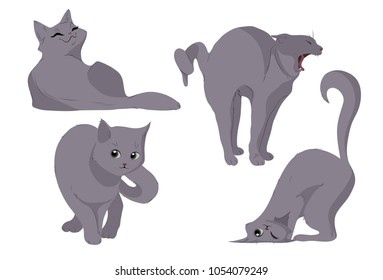 Set vector of the cat, different poses, standing, lying and sitting, isolated on white background