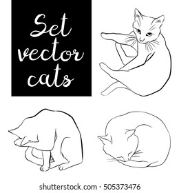 Set vector cats.