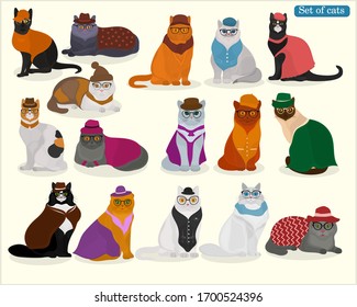 Set of vector cats. Cat in hat, clothes and other accessories.