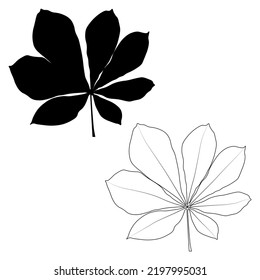 Set of vector chestnut leaf outline and silhouette black icon. Simple chestnut leaves illustration for logo. Realistic hand drawn leaves illustration set on white background.