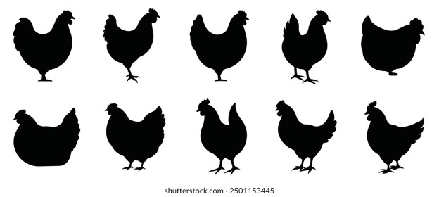 Set of vector chicken black silhouettes isolated on white background