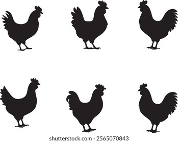 Set of vector chicken black silhouettes isolated on white background