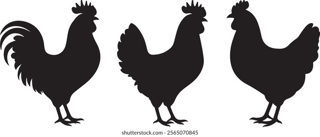 Set of vector chicken black silhouettes isolated on white background