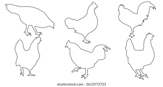 Set of vector chicken black silhouettes isolated on white
