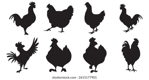 Set of vector chicken black silhouettes isolated on white background.