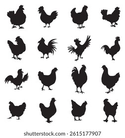 Set of vector chicken black silhouettes isolated on white background.