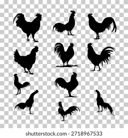 Set of vector chicken black silhouettes isolated on transparent background