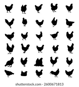 Set of vector chicken silhouettes