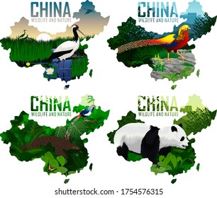 set of vector china maps with animals: Pangolin, diamond pheasant,  Golden pheasant, Red-crowned crane, and panda