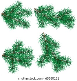 Set vector Christmas tree branch for decorate . Easy to make your own one.