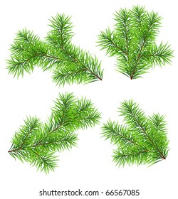 Set vector Christmas tree branch for decorate . Easy to make your own one.