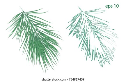 Set vector Christmas tree branch for decorate. Vector illustration