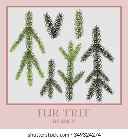 Set of vector Christmas tree branches for your design . Easy to make your own one.