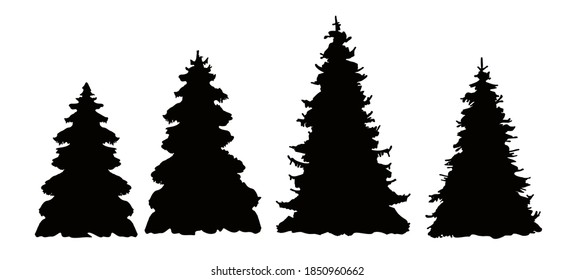 Conjunto de siluetas vectoriales de árboles de Navidad, contorno rastreado, silueta detallada de abetos. Pinos, siluetas de coníferas