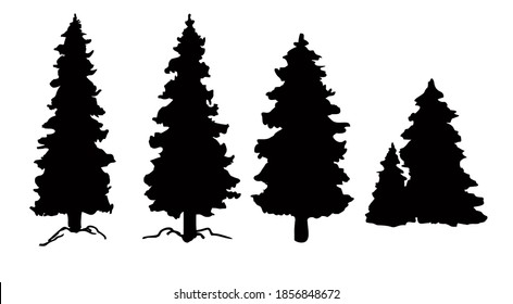 Set of vector Christmas tree silhouettes, traced outline, detailed silhouette of fir trees. Pine trees, conifers silhouettes