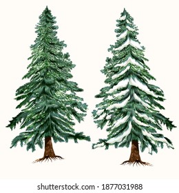 Set of vector Christmas trees, green fur trees in hand drawn watercolor style for design