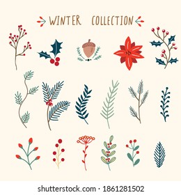 Set of vector Christmas winter floral elements. Constructor for your design. Vector illustration.