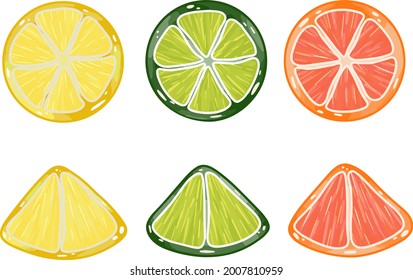 Set vector citrus illustration. Image of lemon, lime, grapefruit, orange for cards, prints, gifts, posters. Illustration for summer, summer drinks and food.