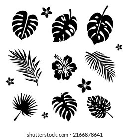 Set of vector clipart of the exotic leaves and flowers. EPS10