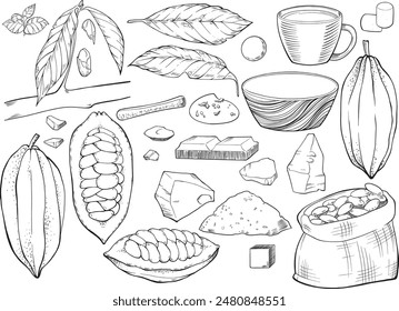 Set of vector cocoa beans and cocoa butter and cocoa leaf.
