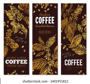 Set of vector coffee vertical banners with tree, branches, leaves. Golden templates of design. Sketch hand drawn illustration for business or menu