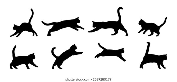 Set of vector collection of cat silhouettes isolated in various poses. Cat silhouette on white background, with doodle drawing.