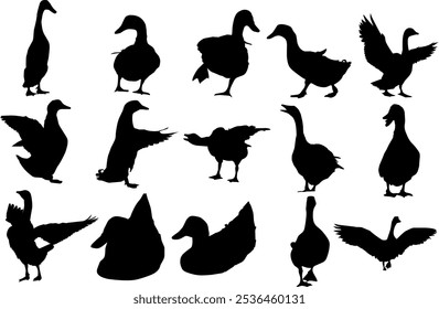 set of vector collection of duck silhouette icons with transparent background