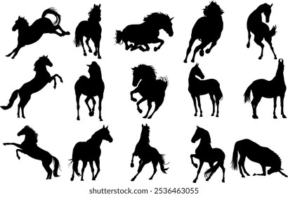 set of vector collection of horse silhouette icons with transparent background