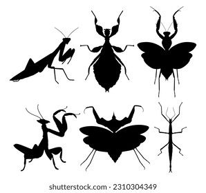 Set Vector kollektions mantis insekt schwarze Silhouette Tiersymbol Illustration