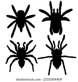 Set Vector collections Tarantula black spider silhouette animal icon illustration