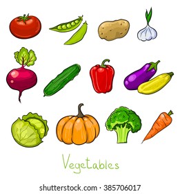 set of vector color vegetables sketches. Colourful drawn food icons. Tomato,  peas, potato. garlic, beet, cucumber, pepper, zucchini, pumpkin and other veggies