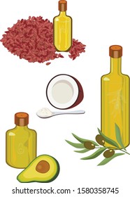 Set of vector colored icons of fresh vegetable oils of olive, linseed, coconut and avocado with qualifying elements half avocado fruit, coconut, olive branch and flax seeds