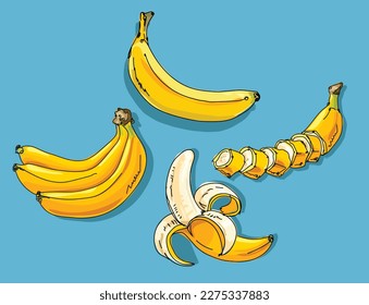 set of vector colored illustrations of bananas hand drawn on a blue background