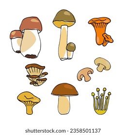 set of vector colored mushrooms drawn in cartoon style on a white background.