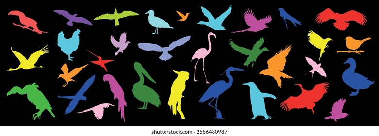  Set of vector colored silhouettes of birds on black background, various bird silhouettes, illustration of flying, sitting birds, suitable for nature, wildlife design