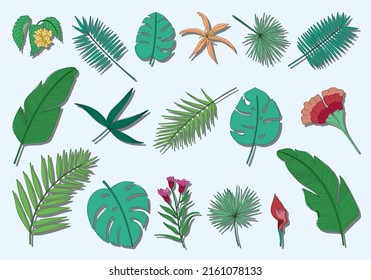 set of vector colored tropical leaves and flowers