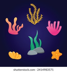 Set of vector colorful algae, starfish, seashells. Seaweed ocean plant. Coral set undersea fauna. Cartoon Vector design. Marine life, ocean. Vector illustration of cartoon algae