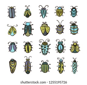 Set of vector colorful beetles on white background