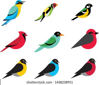 set vector  colorful bird flat 