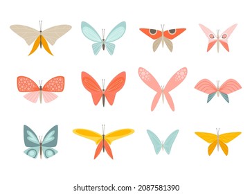 Set of vector colorful butterflies isolated on white background. Collection of cliparts for design