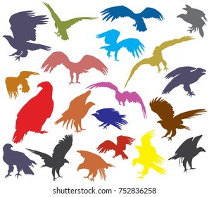 Set of vector colorful cut out flying and sitting silhouettes of american eagle (white-tailed eagle, bald eagle) isolated on white background
