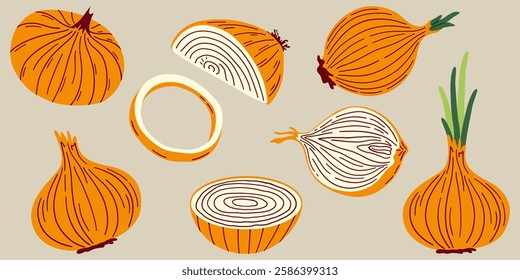 Set of vector colorful halves, slices and whole onions. Flat vector illustration of vegetables for banners, menus.