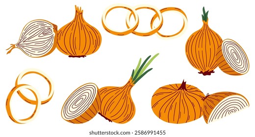 Set of vector colorful halves, slices and whole onions. Flat vector illustration of vegetables for banners, menus.