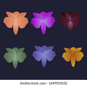 Conjunto de flores de orquídea coloreadas vectoriales sobre un fondo oscuro. Ilustración del vector